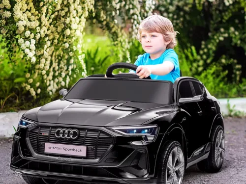 AUDI RS 6 licencirani model 2206 crni