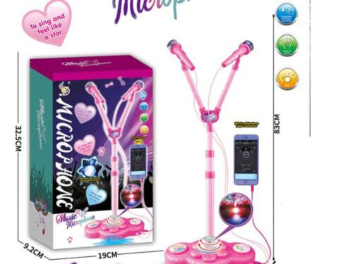 Dva-mikrofona-na-stalku-MP3-priključak