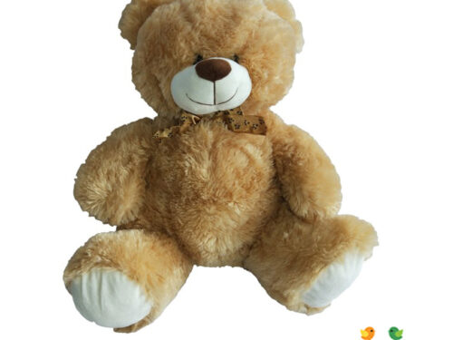 PLIŠANI-MEDA-VELIKI 40CM-01