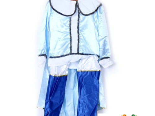 KOSTIM-PRINC-PLAVI