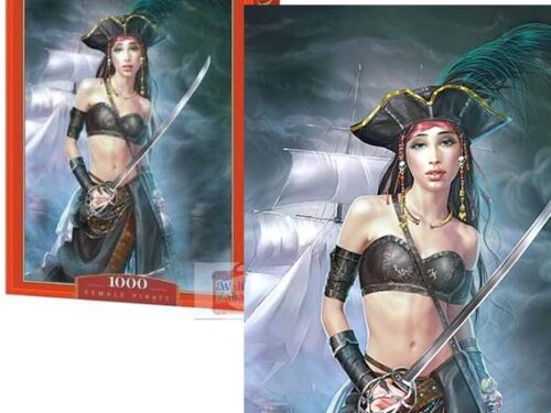 PUZLE-FEMELE PIRATE-1000- ELEMENTA-02